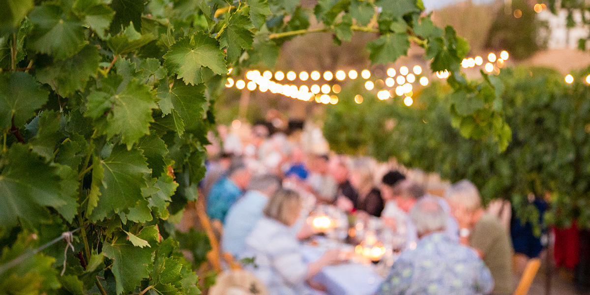 Dine in the Vines