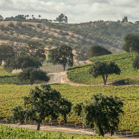 Paso Robles: Discover California wine country at its loveliest Photo