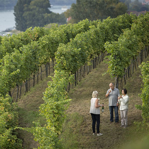 Eberle Rhine River Cruise | May 18-27th, 2023
