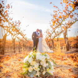 Paso Robles Vineyard Wedding Venue