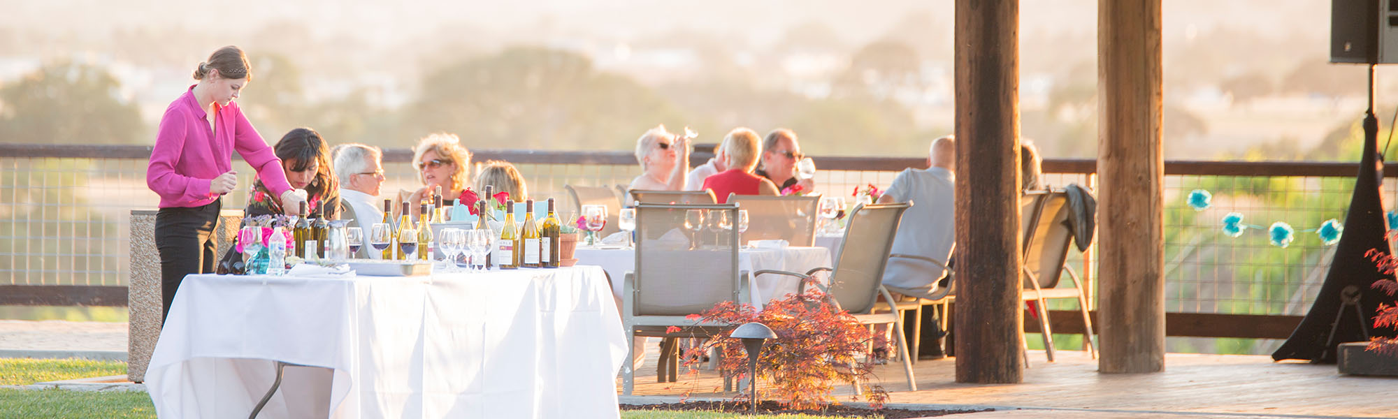 Dine in the Vines
